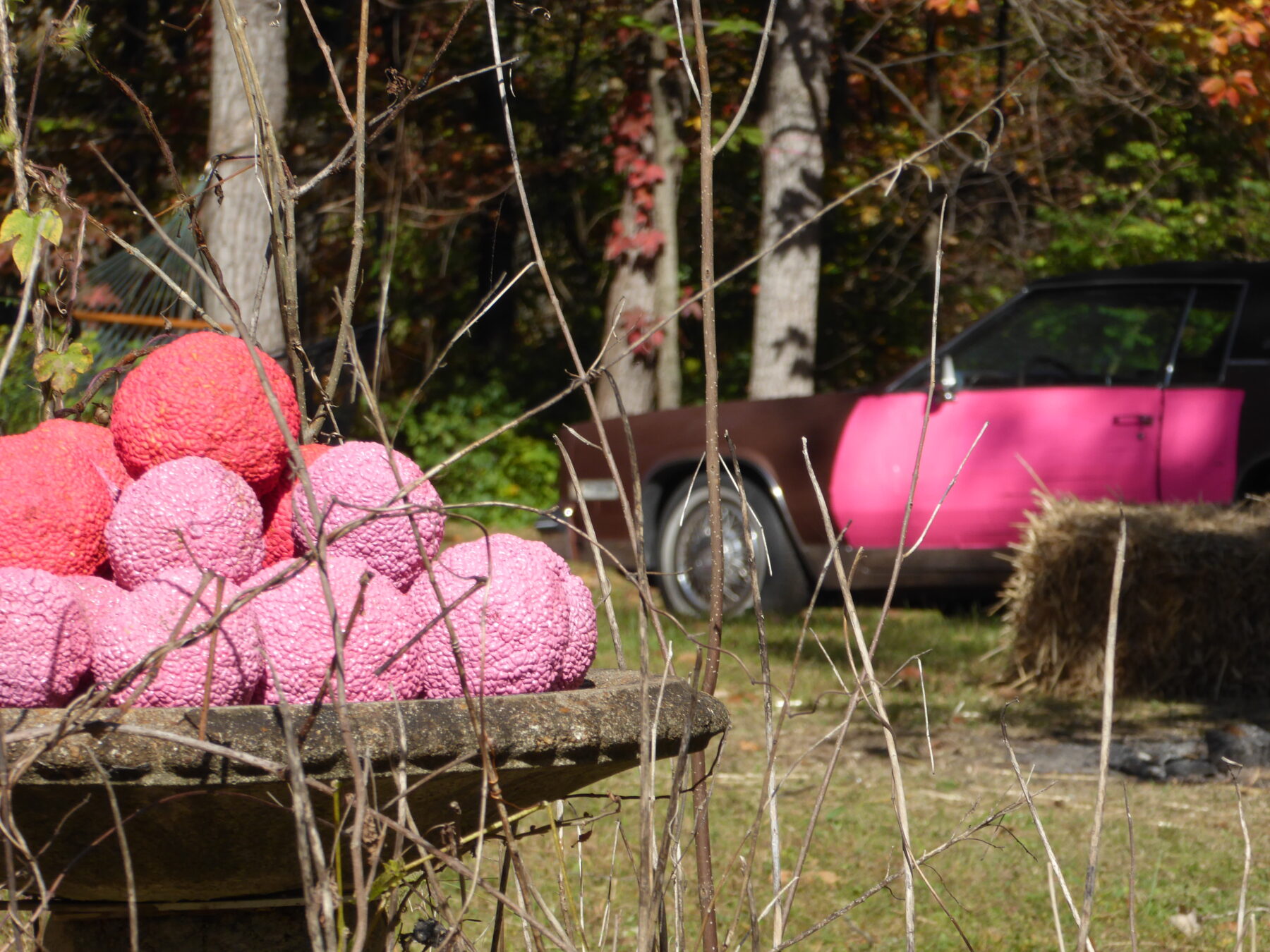 Archives - Hélène Baril