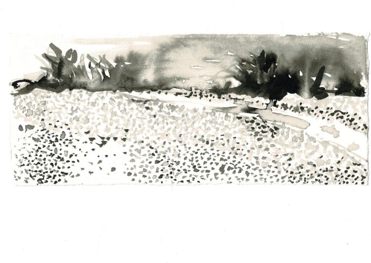 Noir et blanc - Hélène Baril