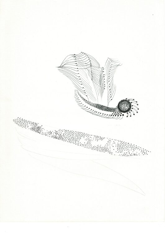 Noir et blanc - Hélène Baril