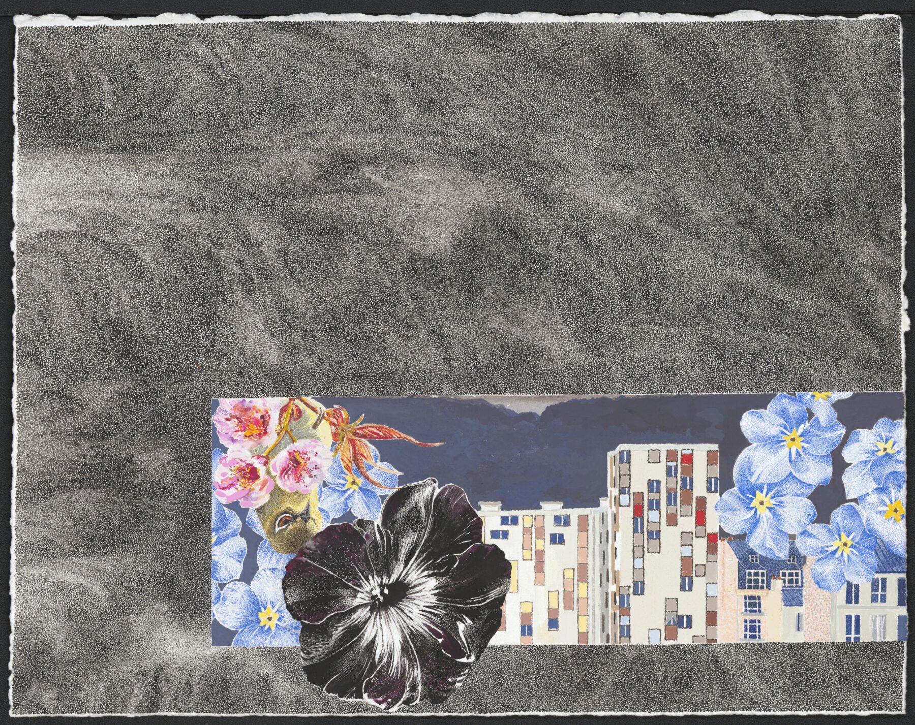 Page d&rsquo;accueil - Hélène Baril