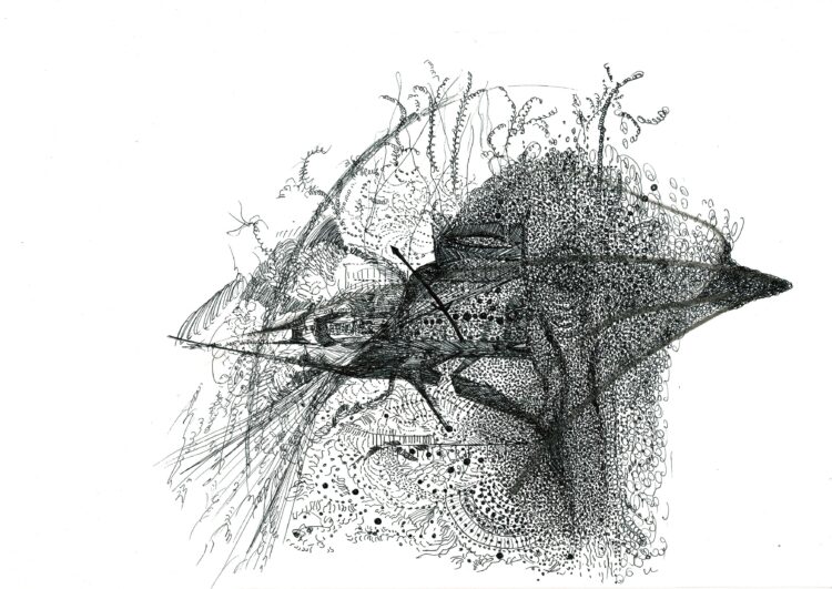 Noir et blanc - Hélène Baril